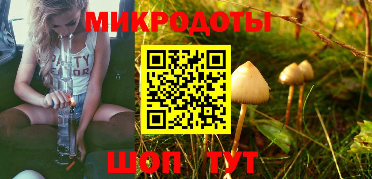 Выкса  Псилоцибиновые грибы мицелий  Вход с VPN 